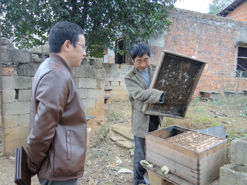 QQ图片20161103085810.jpg