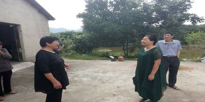 图片1_副本.jpg
